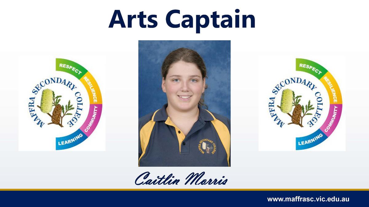 /uploaded_files/media/gallery/1739851537Arts Captain.jpg